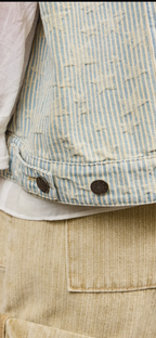 Celestial Distressed Stripe Denim Vest