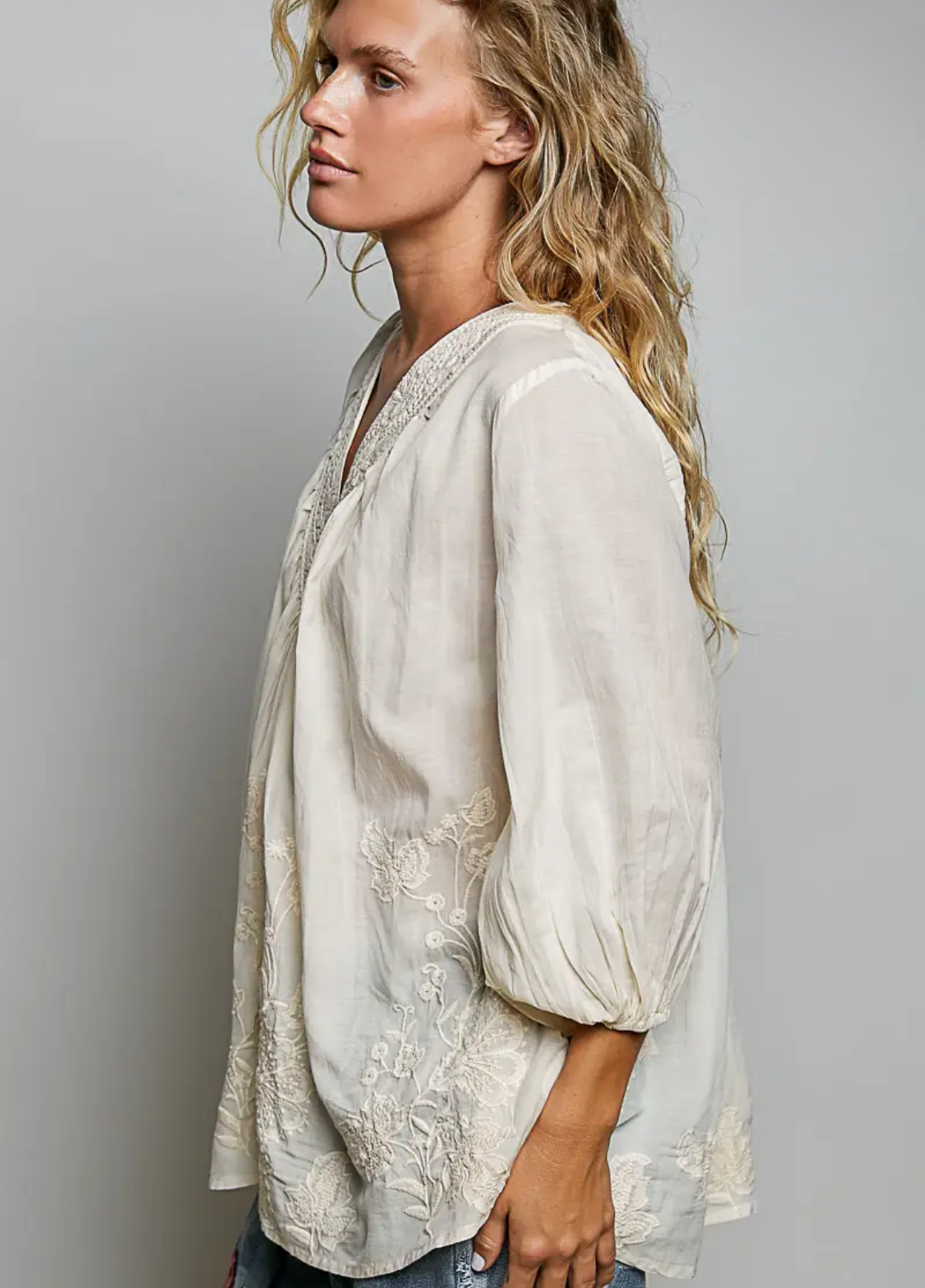 Artisanal Charm Floral Embroidered Blouse V Neck Top-natural
