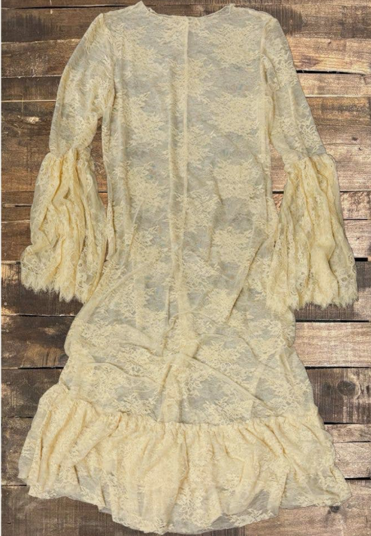 Garden Tea Lace Dress