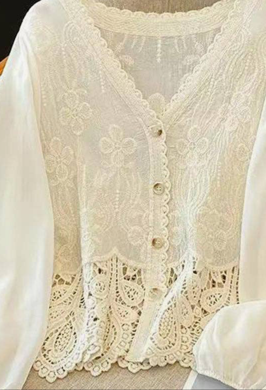 Lace V-Neck Button-Front Blouse